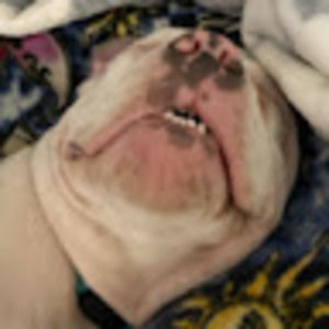 Meet your Posher, Carla